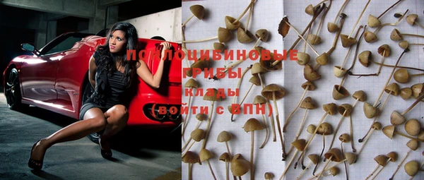 каннабис Пестово