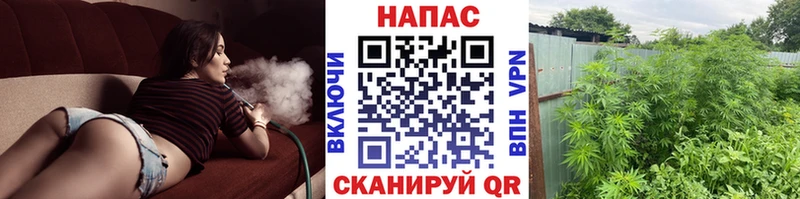 Марихуана VHQ  Купить  Череповец 